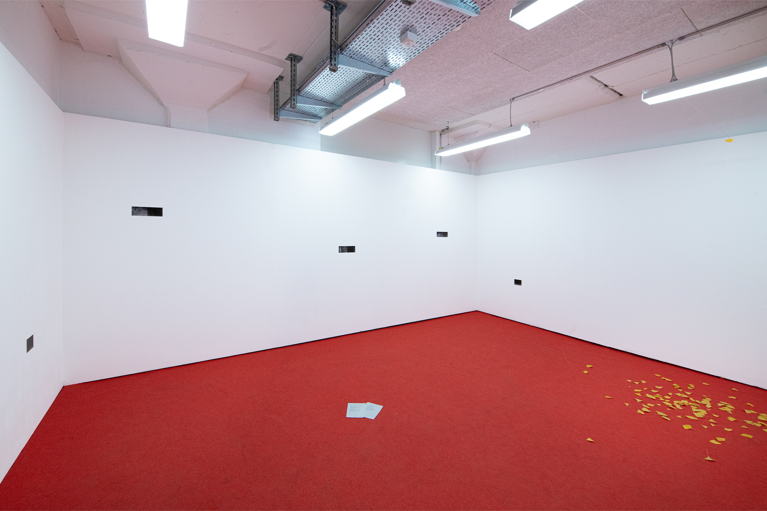 installation view
